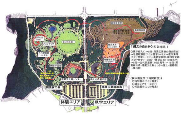 縄文の森を歩く