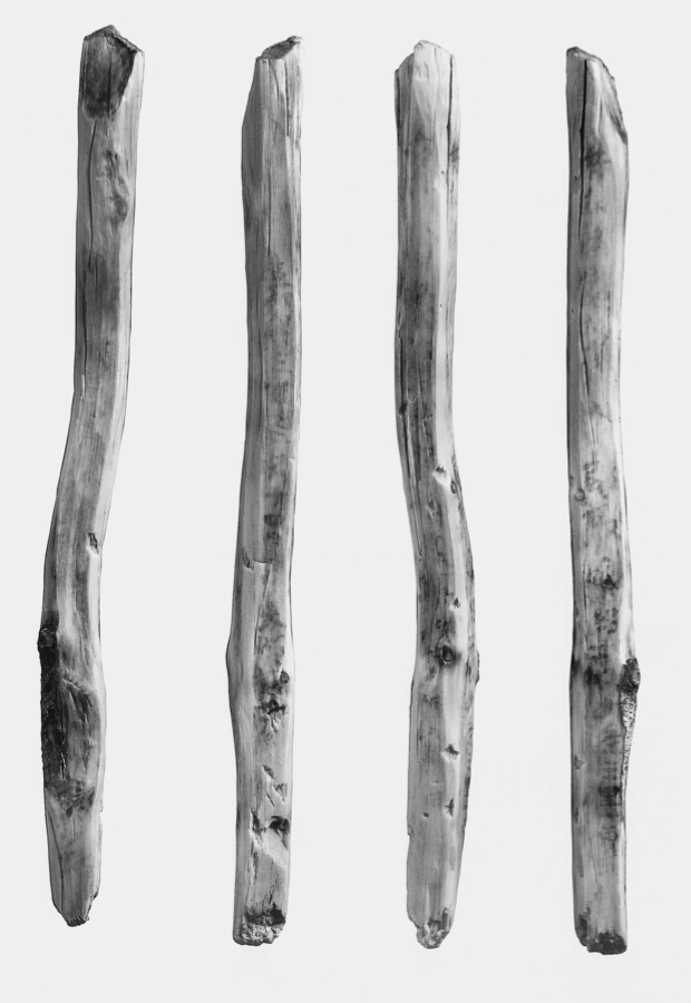 木簡(京田遺跡) 木簡(京田遺跡)