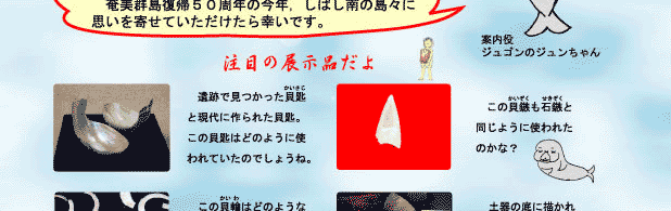 よみがえる古代人　～発掘された奄美諸島の世界～3